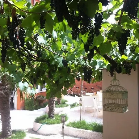 La Pergola Di Venezia فندق 2*